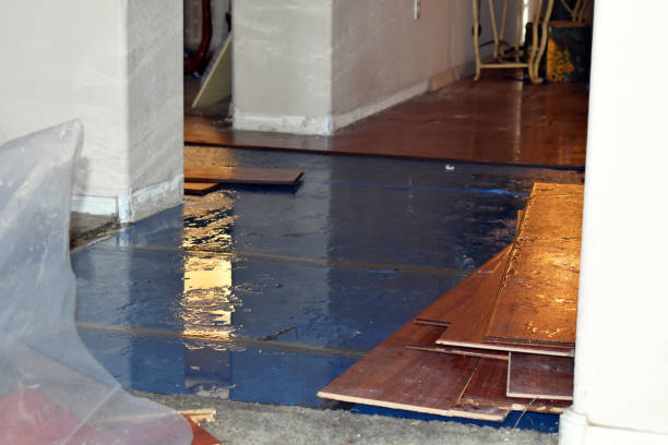 Professional Burst Pipe Cleanup technician working in Columbus, MN