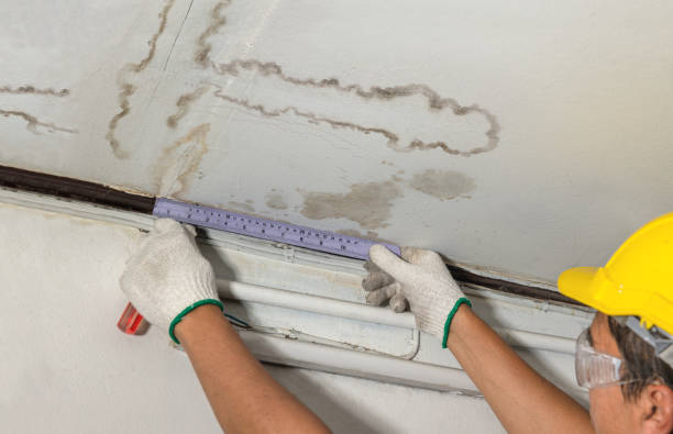 Reliable Burst Pipe Cleanup contractor in Columbus, MN by Water Damage Irwin